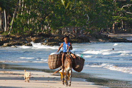 Man on Mule on Boipeba Island