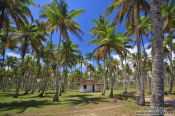 Travel photography:Boipeba Island beach cottage, Brazil