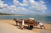 Travel photography:Boipeba Island transport, Brazil