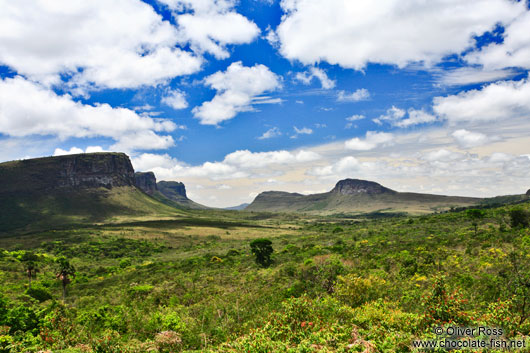 Chapada Diamantina landscape