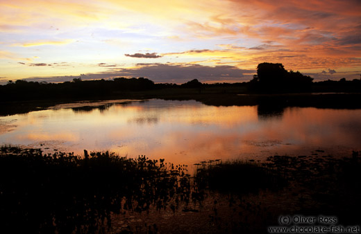 Sunset in the Pantanal