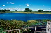 Travel photography:Pantanal landscape, Brazil