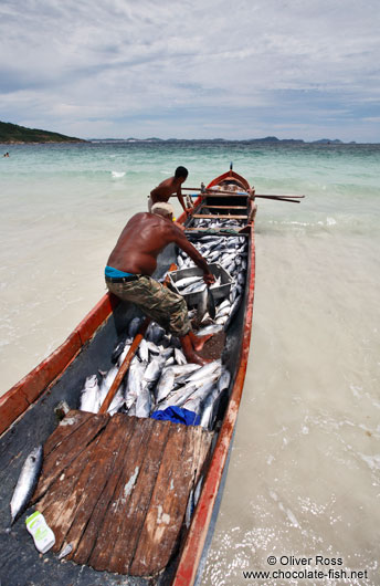 Fisherman landing their catch of bonito fish at Arraial-do-Cabo beach