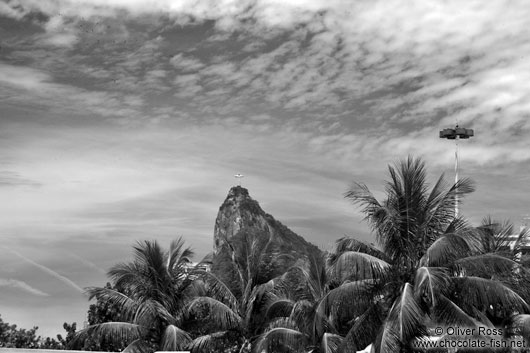 View of Corcovado with palm trees in Rio de Janeiro