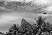 Travel photography:View of Corcovado with palm trees in Rio de Janeiro, Brazil