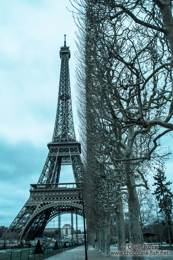 Cyanotype image of the Paris Eiffel Tower 