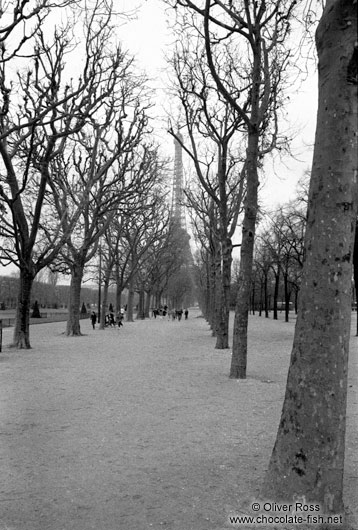 Eiffel Tower and Park in Paris