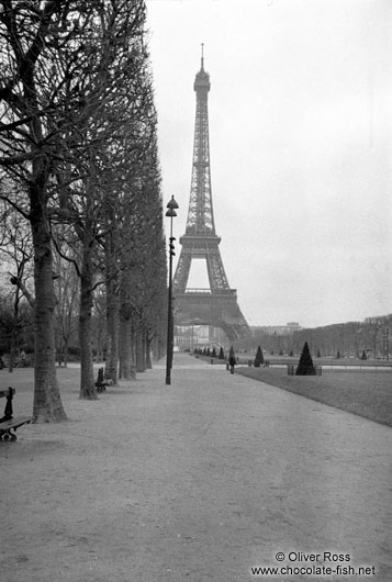 Eiffel Tower with park in Paris