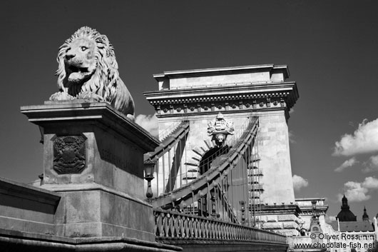 The Chain Bridge in Budapest with lion sculpture