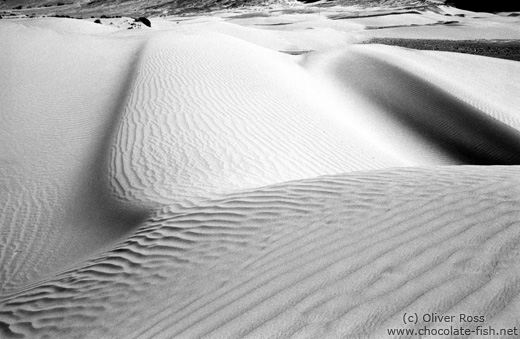 Sand Dunes near Diskit (Ladakh)