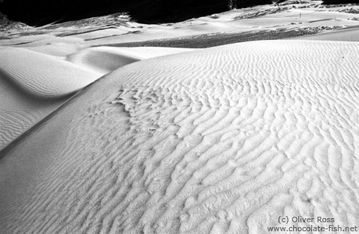 Sand Dunes near Diskit (Ladakh)