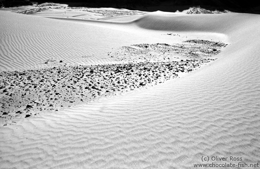 Sand Dunes near Diskit (Ladakh)