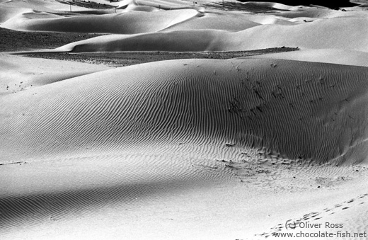 Sand Dunes near Diskit (Ladakh)