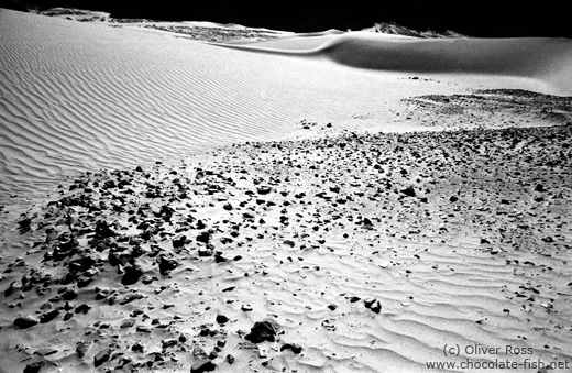 Sand Dunes near Diskit (Ladakh)