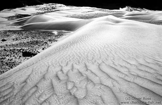 Sand Dunes near Diskit (Ladakh)