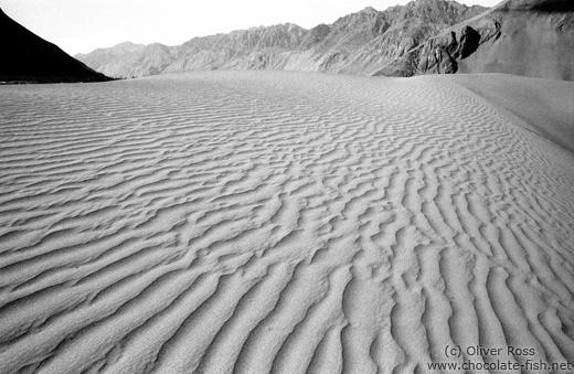 Mountains and Sand Dunes near Diskit (Ladakh)