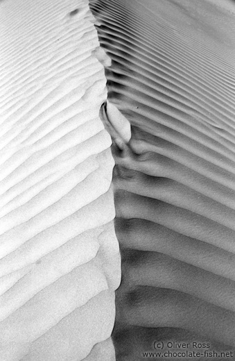 Sand Dunes near Diskit (Ladakh)