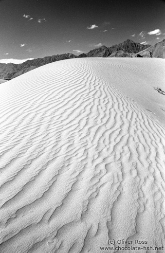 Sand Dunes near Diskit (Ladakh)