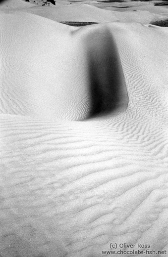 Sand Dunes near Diskit (Ladakh)