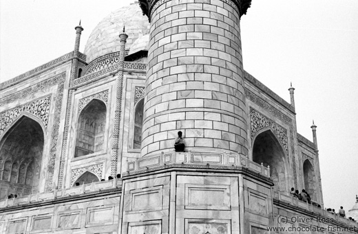 Facade Detail of the Taj Mahal Mausoleum in Agra