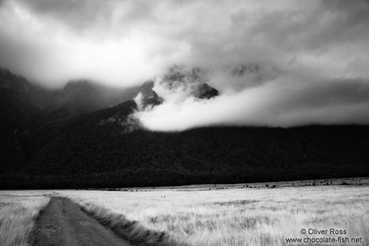 Landscape in Fiordland National Park