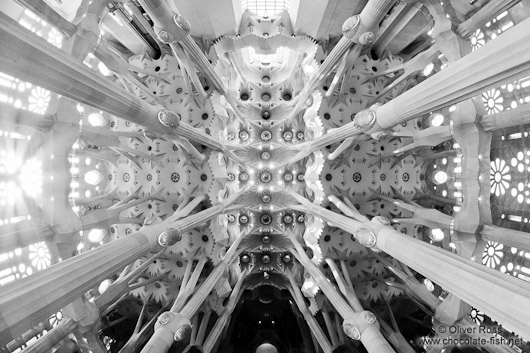 Barcelona Sagrada Familia 180° ceilling panorama