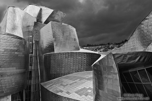 The Bilbao Guggenheim Museum