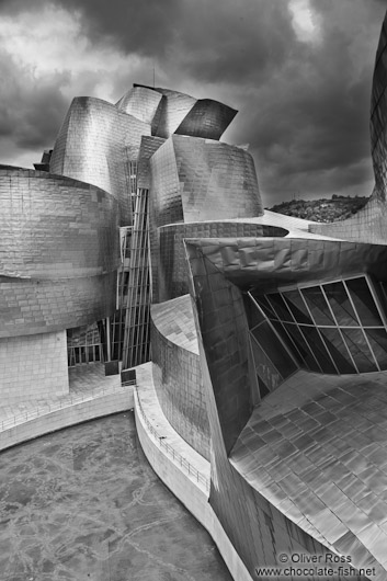 The Bilbao Guggenheim Museum