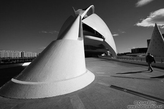 The Palau de les Arts Reina Sofía opera house in the Ciudad de las artes y ciencias in Valencia