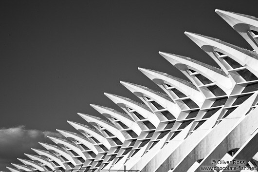 Roof detail of the Science Museum (El Museu de les Ciències Príncipe Felipe) in the Ciudad de las artes y ciencias in Valencia