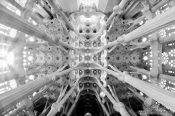 Travel photography:Barcelona Sagrada Familia 180° ceilling panorama, Spain