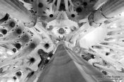 Travel photography:Barcelona Sagrada Familia interior, Spain