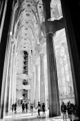 Travel photography:Barcelona Sagrada Familia interior, Spain