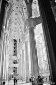 Travel photography:Barcelona Sagrada Familia interior, Spain