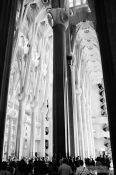 Travel photography:Barcelona Sagrada Familia interior, Spain