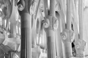 Travel photography:Barcelona Sagrada Familia interior pillars, Spain