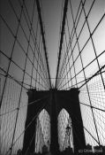 Travel photography:New York Brooklyn Bridge, USA