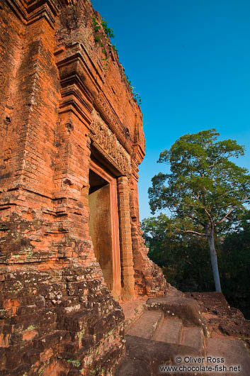 The early morning sun on Phnom Bakkheng 