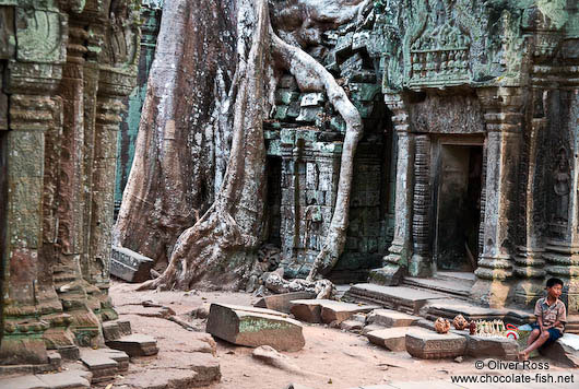 Giant tree roots cover these doors at Ta Prom temple