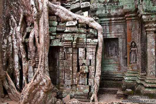 Tree roots cover this door at Ta Prom 