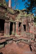 Travel photography:Ta Prom temple, Cambodia