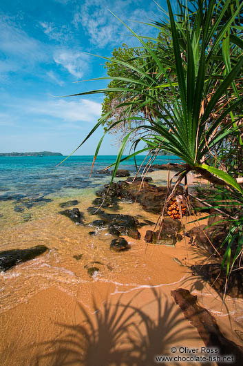 Beach on Kaoh Ta Kiev Island 