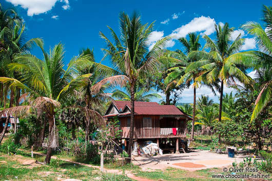Typical stilt house between Sihanoukville and Kampott 