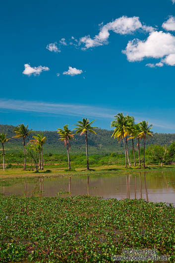 Landscape between Sihanoukville and Kampott 