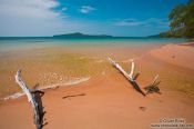 Travel photography:Buried branches at a beach on Kaoh Ta Kiev Island , Cambodia