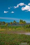 Travel photography:Landscape between Sihanoukville and Kampott , Cambodia