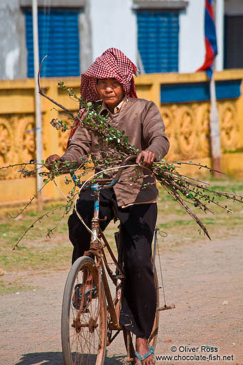 Man on bike near Odonk (Udong) 