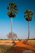 L´intorni di Phnom Penh