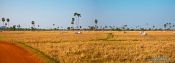 Travel photography:Typical countryside near Odonk (Udong), Cambodia