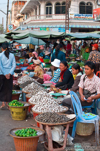 The Battambang central market 